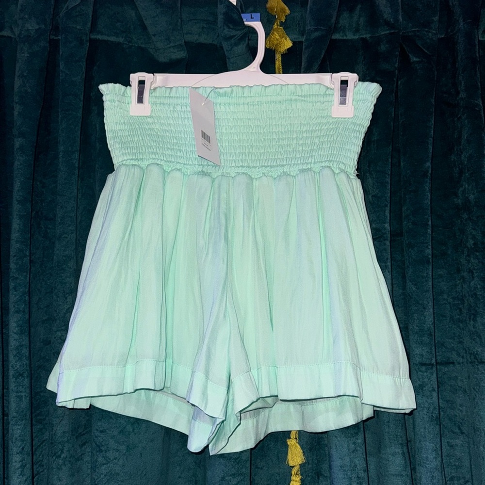 TCEC NWT size L Silk mint green boutique shorts